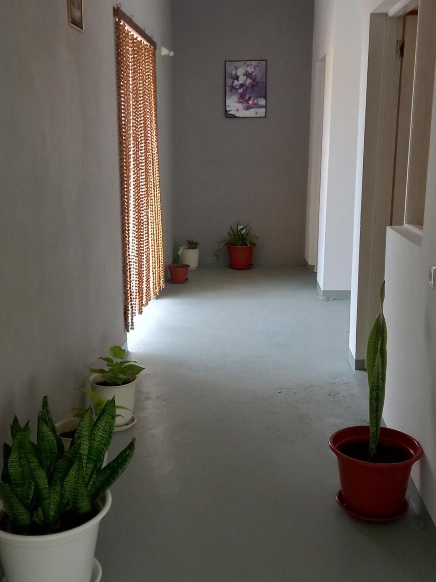 Residencial Rosa Criola Bed and Breakfast Sal Rei Buitenkant foto